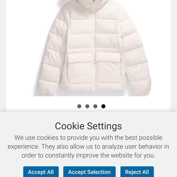 North Face Gotham Parka Coat NWT - Picture 4 of 9